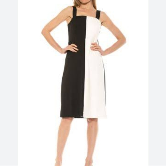Alexia AdmorMarissa Two Tone Midi Dress - Picture 11 of 11
